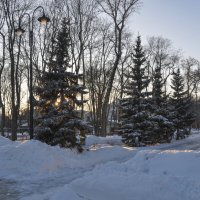 Зимний закат в парке "Орлёнок" :: Татьяна Машошина