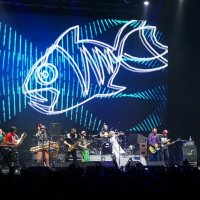 группировка Ленинград / Чартова дюжина / 06.03.2014 :: zavitok *