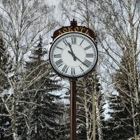 Часы :: Елена Сухорученкова