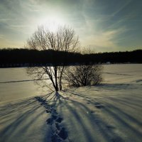 Фотография  - чтобы легче было вспомнить (это 2024!) :: Андрей Лукьянов