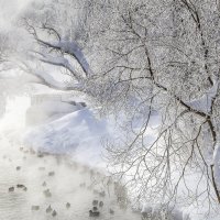 В парке :: Галина Новинская