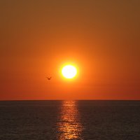 Тёплый вечер. :: Марина Леонидовна