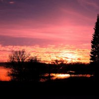 Пылающий вечер :: Людмила Смородинская