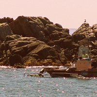 Пляж Барселоны. :: Владимир Драгунский