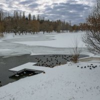 Февраль. Ждём весну... :: Ravile 