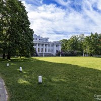 Лето на Елагином :: Евгений 