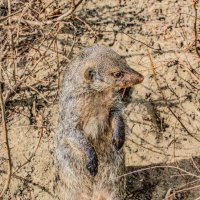 а я стою такая вся...... :: Аркадий Лаптенко а я стою такая вся...... :: Аркадий Лаптенко