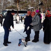 Масленица в Тальцах :: Галина Минчук