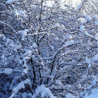 Снег, снежок... :: Рита Симонова