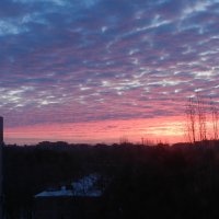 утро :: Лера 