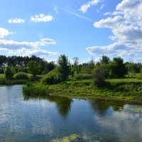 Местная река. :: Виктор 