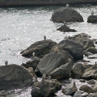 ...мир равновесия... :: Александр Герасенков