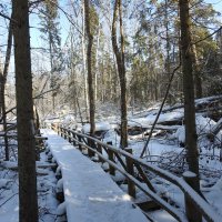 Кемерский национальный парк :: ИННА ПОРОХОВА