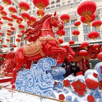 С китайским Новым годом огненной лошади! :: Татьяна Тюменка