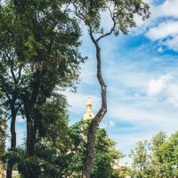 В Петропавловской :: Sergei Vikulov