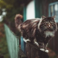 ученый :: Антон Лихач