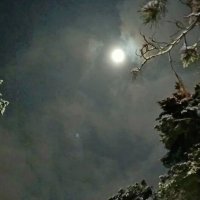 Зимняя ночь :: Михаил Столяров