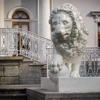 Лев. :: Александр 