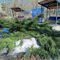 Последний день зимы... :: Нина Бутко