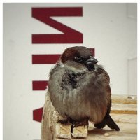 ~ :: someone somewere ~ :: someone somewere