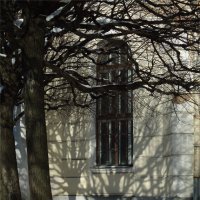 окно в Кленовую аллею :: sv.kaschuk 