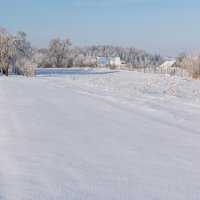 Зимняя зарисовка :: Александр Мезенцев