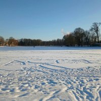 Петергоф. Ольгин пруд. Февраль :: Наталья Герасимова