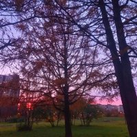 Закат :: Сапсан 