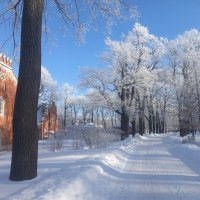 Зима :: Сапсан 