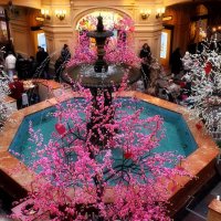 В Гуме весна! :: Татьяна Помогалова