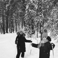 В лесу на лыжах... :: Андрей Хлопонин