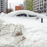 Пора собирать подснежники :: Валерий Иванович
