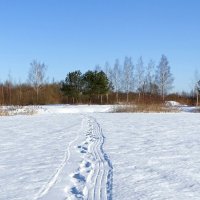 След рыбака. :: Милешкин Владимир Алексеевич 