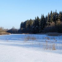 Зимний пейзаж. :: Милешкин Владимир Алексеевич 