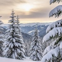 Полюбуемся на уходящую зиму ... :: Ravile 