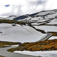 Тундра в цивилизованной стране :: Alexandеr P