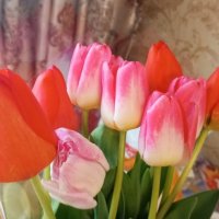 С ПЕРВЫМ ДНЕМ ВЕСНЫ! СЧАСТЬЯ И ЛЮБВИ ВАМ! :: Елена Семигина