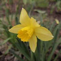 ,,, :: Сергей Тимоновский