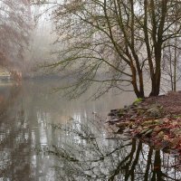 Февральский туман :: Юрий. Шмаков Февральский туман :: Юрий. Шмаков