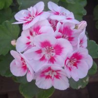 С началом Весны друзья! :: СЕРГЕЙ ФИЛОЧКИН