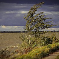 Непогода_ :: В.И 