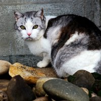 Я не отмечаю :: Юрий. Шмаков Я не отмечаю :: Юрий. Шмаков