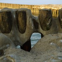 Снег не сдаётся. :: Константин Белоногов