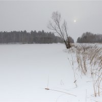 Голубой залив :: **** vedin