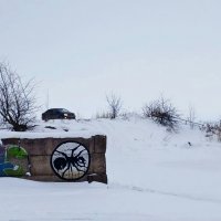 На берегу Ладожского озера :: Наталья Герасимова