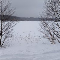 Первый день весны-2026 - продолжение ЧБ-сезона в фотографии :: Андрей Лукьянов