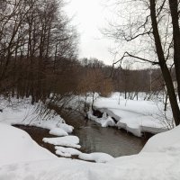 Первый день весны-2026 - продолжение ЧБ-сезона в фотографии :: Андрей Лукьянов