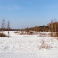 Весенний пейзаж. :: Милешкин Владимир Алексеевич 