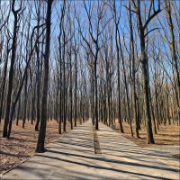 ///___\\\ :: Федор Кобец