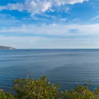 Черноморское побережье :: Владимир Лазарев